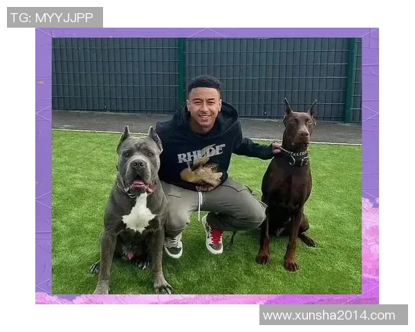 足球明星宠物狗大揭秘：他们钟爱哪些品种的狗狗陪伴生活