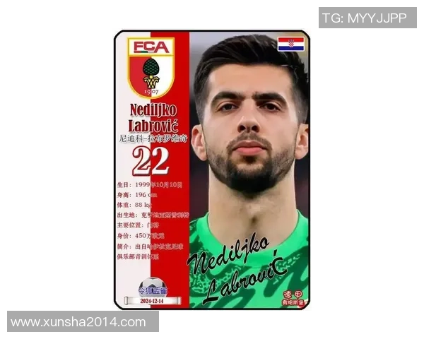 2025年汉堡足球球星排名前十：实力与荣耀并存的顶级球员解析